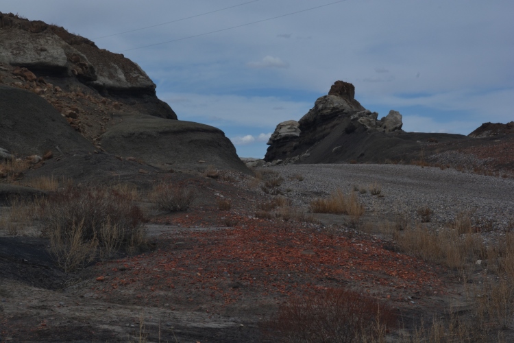 bisti wilderness